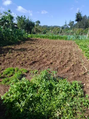 2 Acres Githirioni