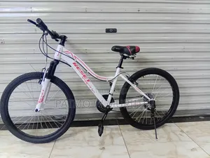 Reset Mountain Bike Size 24