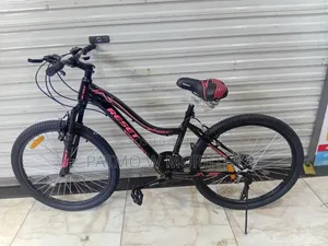 Reset Mountain Bike Size 24