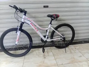 Reset Adventure Bike Size 24
