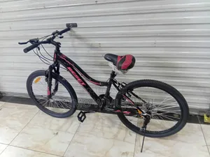 Reset Adventure Bike Size 24