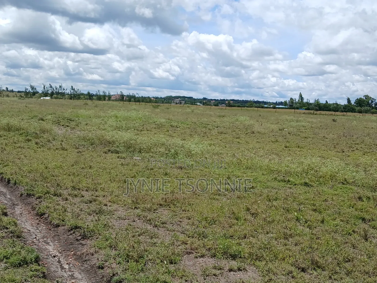 Property for Sale