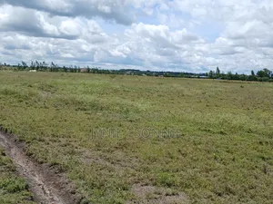 Property for Sale