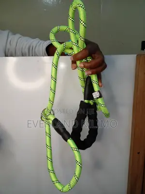 Reflective Training Slip Leash