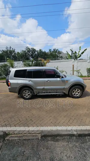 Mitsubishi Pajero 2002 Silver
