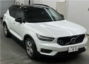 Volvo XC40 T5 Petrol AWD 2019 Pearl