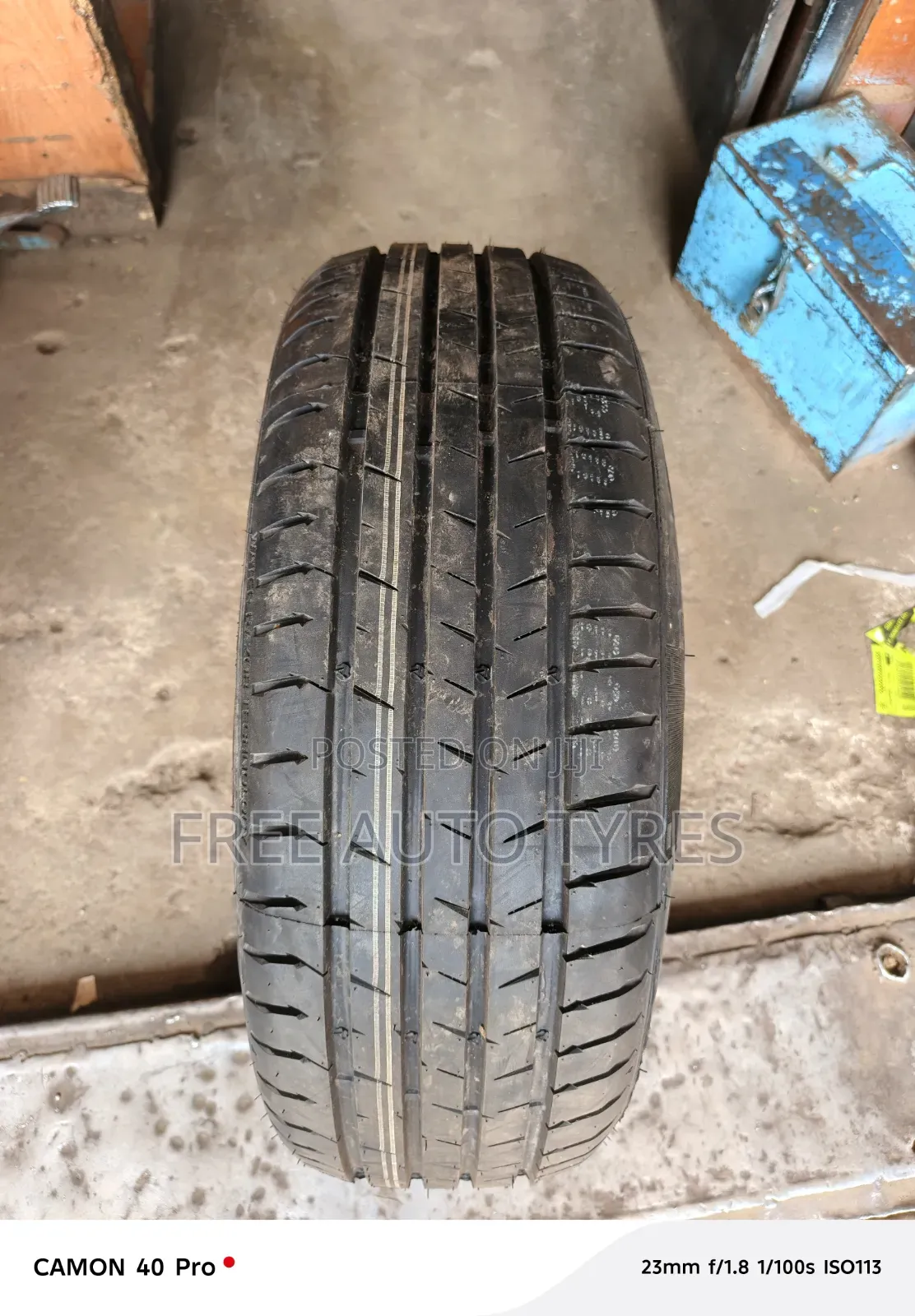 205/55r16 Goddard