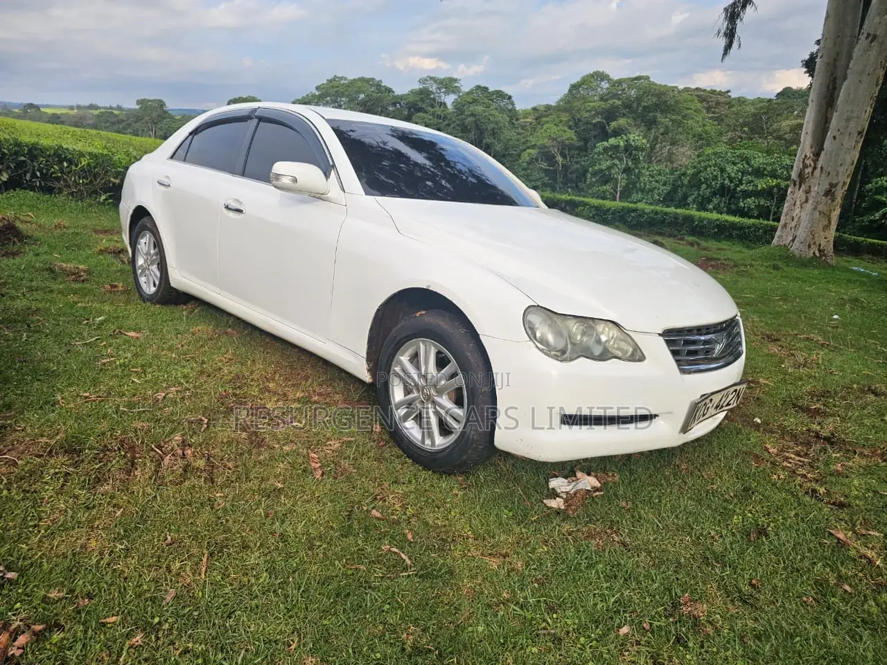 Toyota Mark X 2009 White