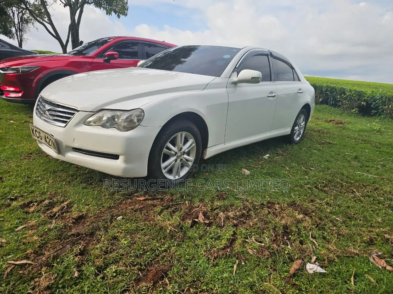 Toyota Mark X 2009 White