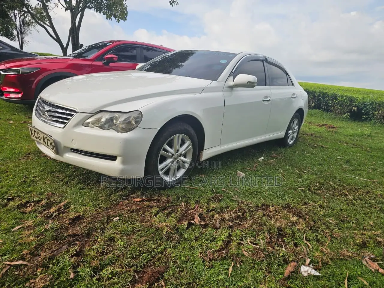 Toyota Mark X 2009 White