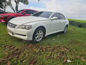 Toyota Mark X 2009 White