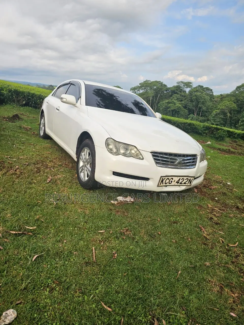 Toyota Mark X 2009 White