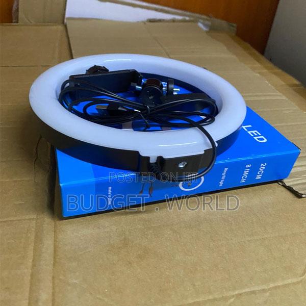 Professional 10-Inch Ring Light Kit With Tall 2.1m Stand for Content C