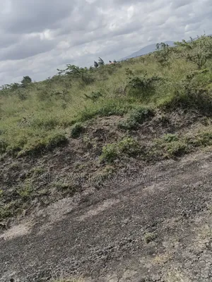 Several Parcels in Kajiado