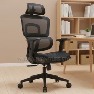Office Chair : Black High-Back Ergonomic Mesh Office Chair