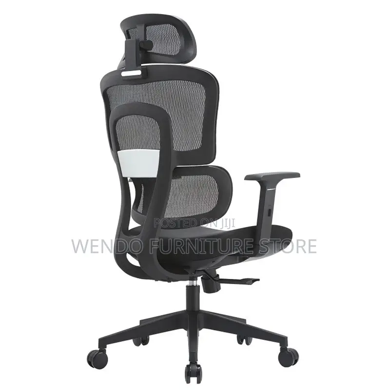 Office Chair : Black High-Back Ergonomic Mesh Office Chair