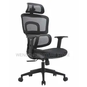 Office Chair : Black High-Back Ergonomic Mesh Office Chair
