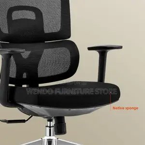 Office Chair : Black High-Back Ergonomic Mesh Office Chair