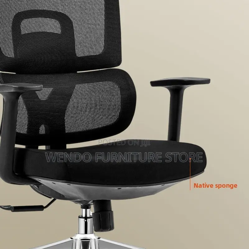 Office Chair : Black High-Back Ergonomic Mesh Office Chair