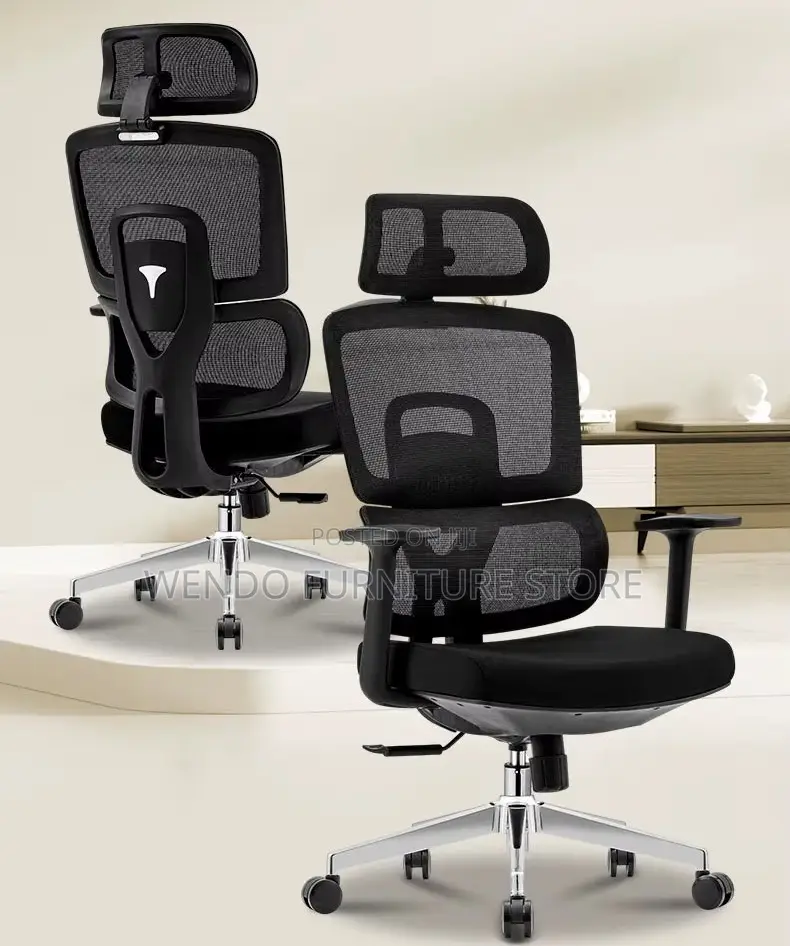 Office Chair : Black High-Back Ergonomic Mesh Office Chair