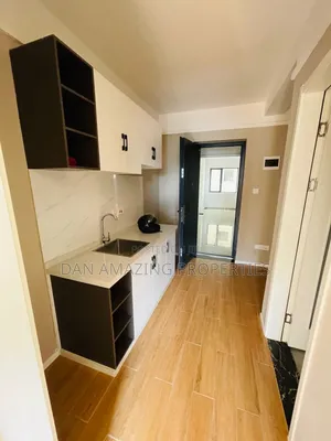 1bdrm Bedsitter in Wanye Rd, Dagoretti Corner for rent