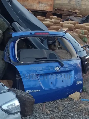 Clean Toyota Spacio 2005 Boot Door