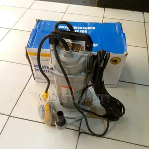 Electric Submersible Water Pump.