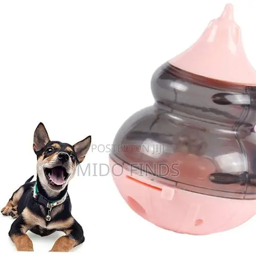 Pet Accessories