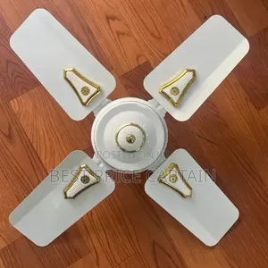 24inches Ceiling Fan Roch