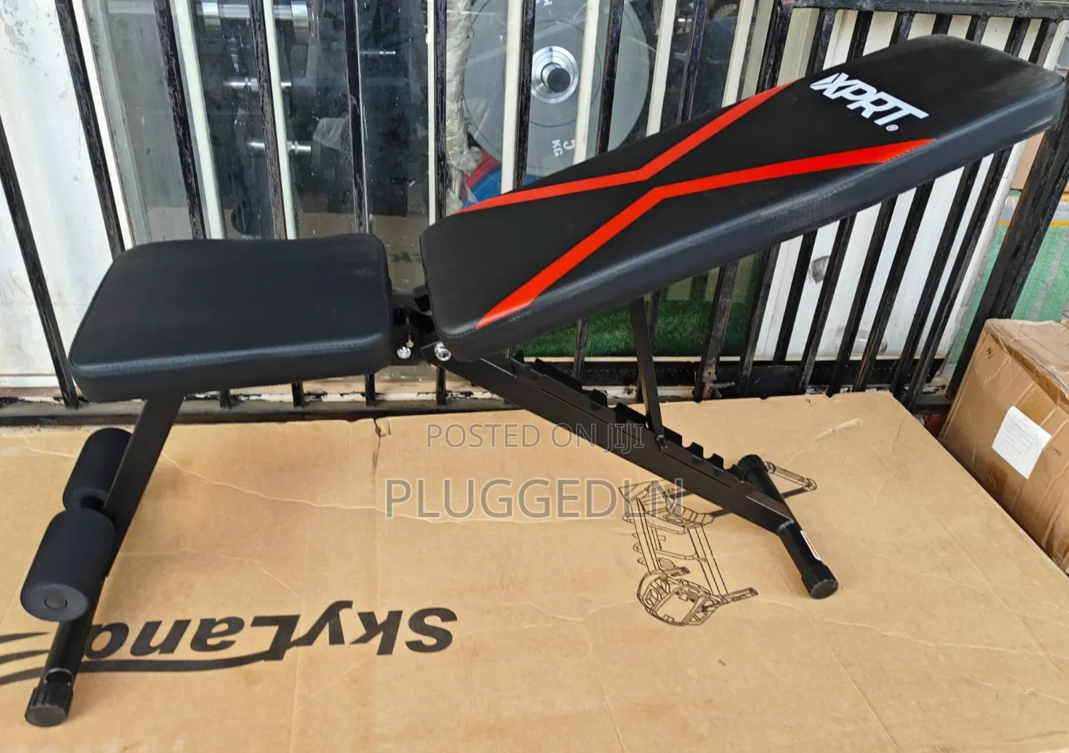 Adjustable Dumbbell Bench
.