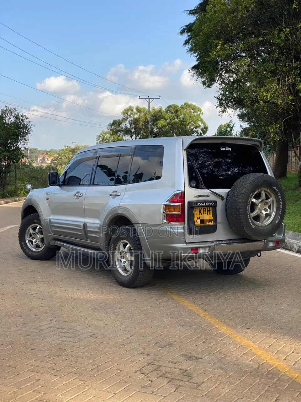 Mitsubishi Pajero 2002 Gray