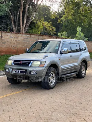Mitsubishi Pajero 2002 Gray