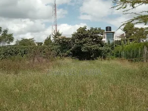 1/4 Plot at Acacia Crest Academy