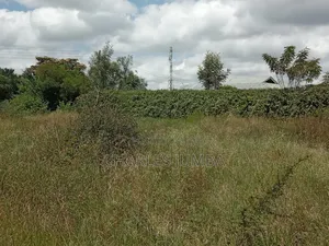 1/4 Plot at Acacia Crest Academy