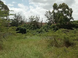 1/4 Plot at Acacia Crest Academy