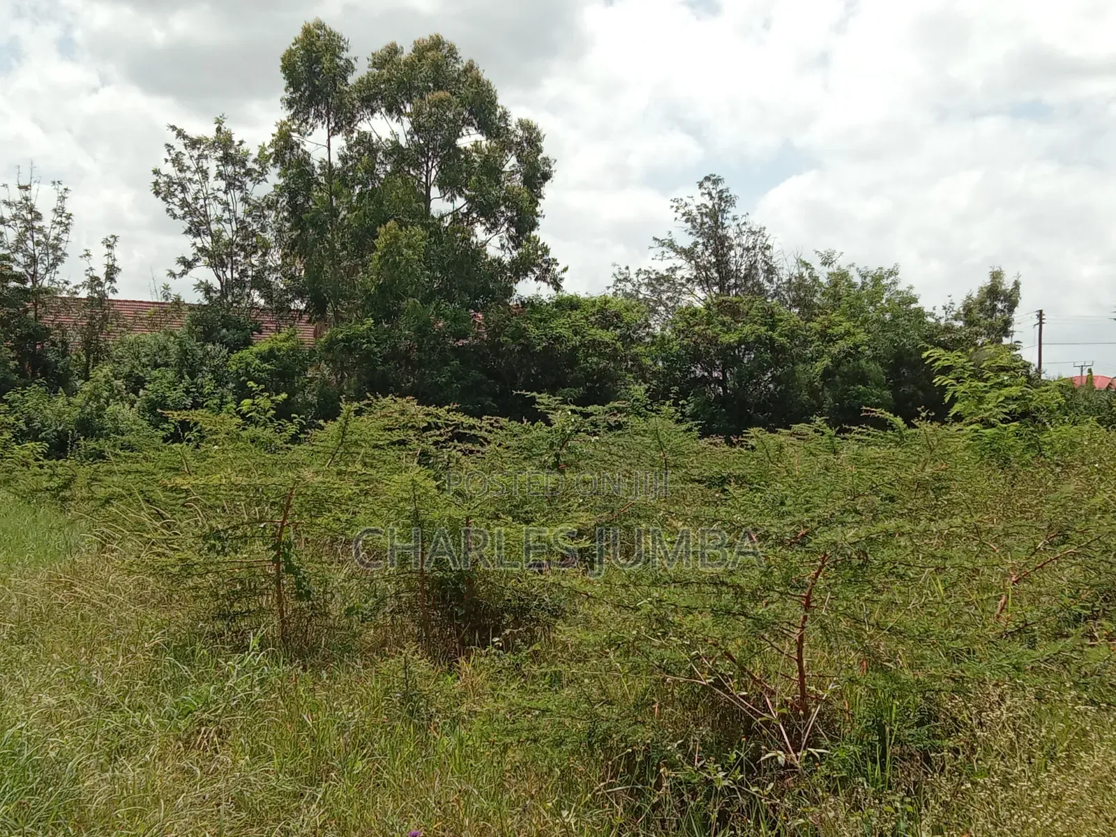 1/4 Plot at Acacia Crest Academy