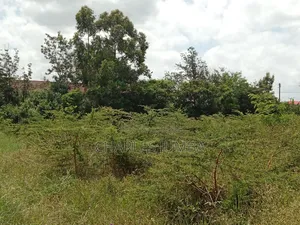 1/4 Plot at Acacia Crest Academy