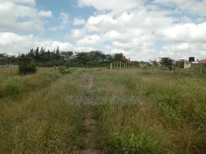 1/4 Plot in Muigai Estate
