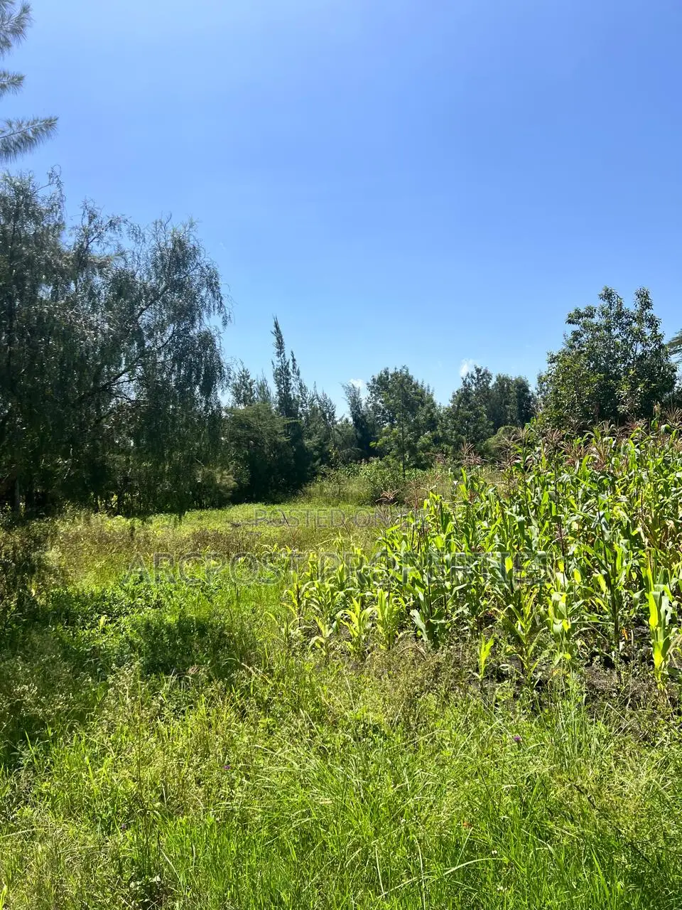 Prime 50x100 Plots for Sale in Kandisi Near Rimpa Kandisi Road