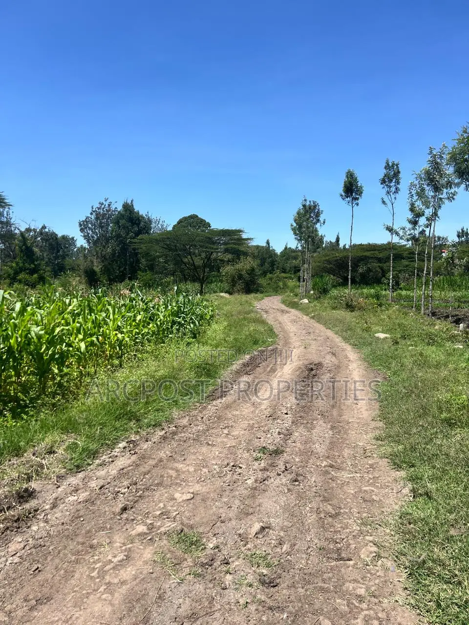 Prime 50x100 Plots for Sale in Kandisi Near Rimpa Kandisi Road