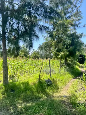 Prime 50x100 Plots for Sale in Kandisi Near Rimpa Kandisi Road