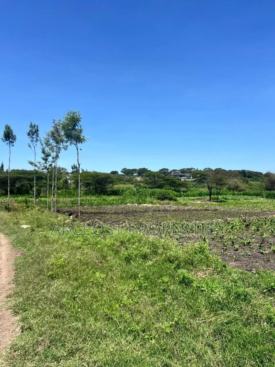 Prime 50x100 Plots for Sale in Kandisi Near Rimpa Kandisi Road