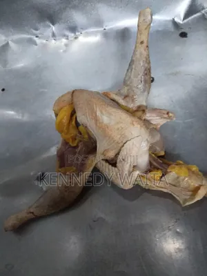 Live and Slaughtered Chicken