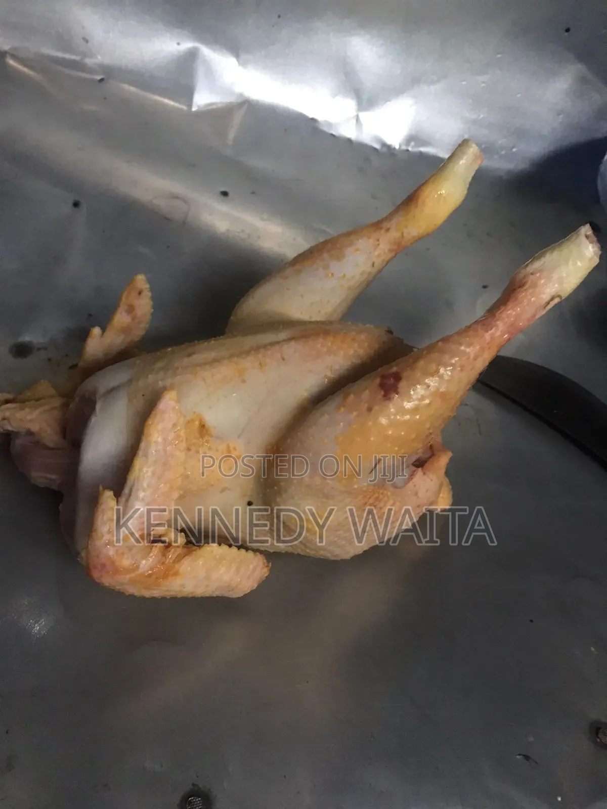 Live and Slaughtered Chicken