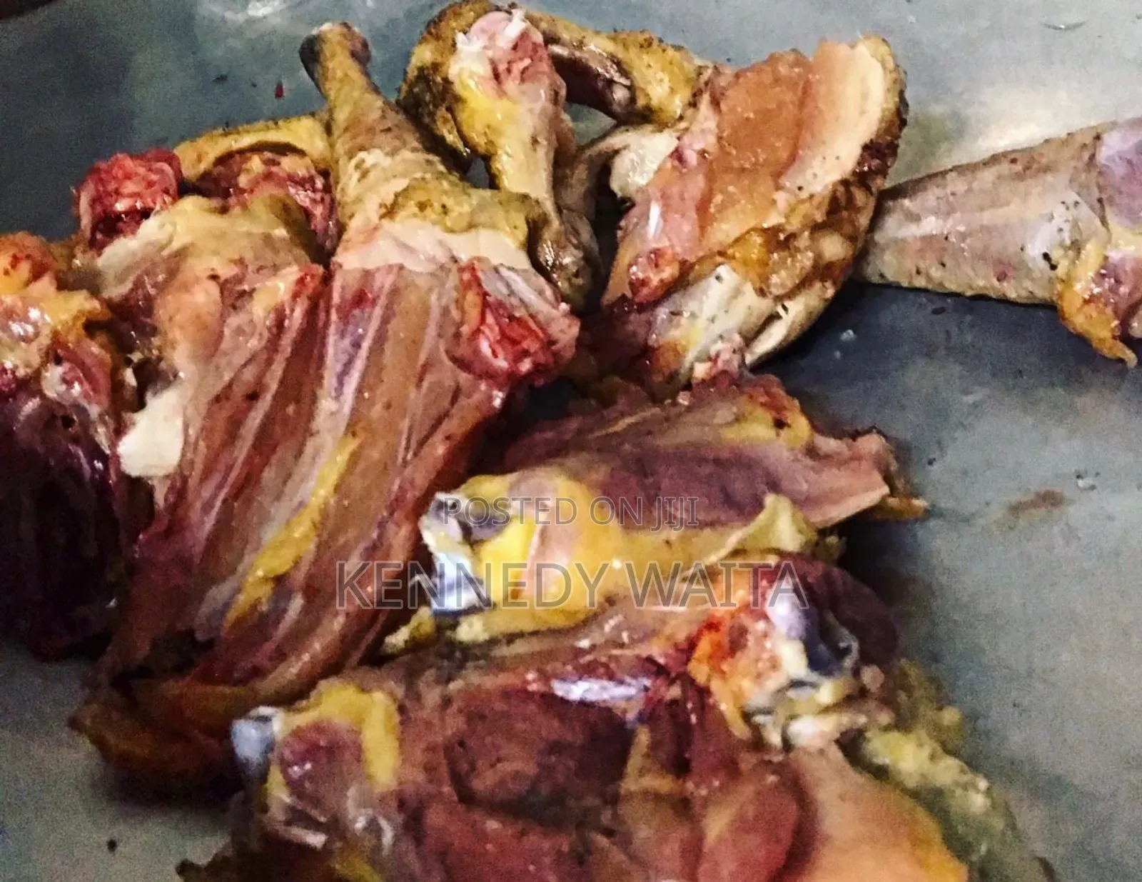 Live and Slaughtered Chicken