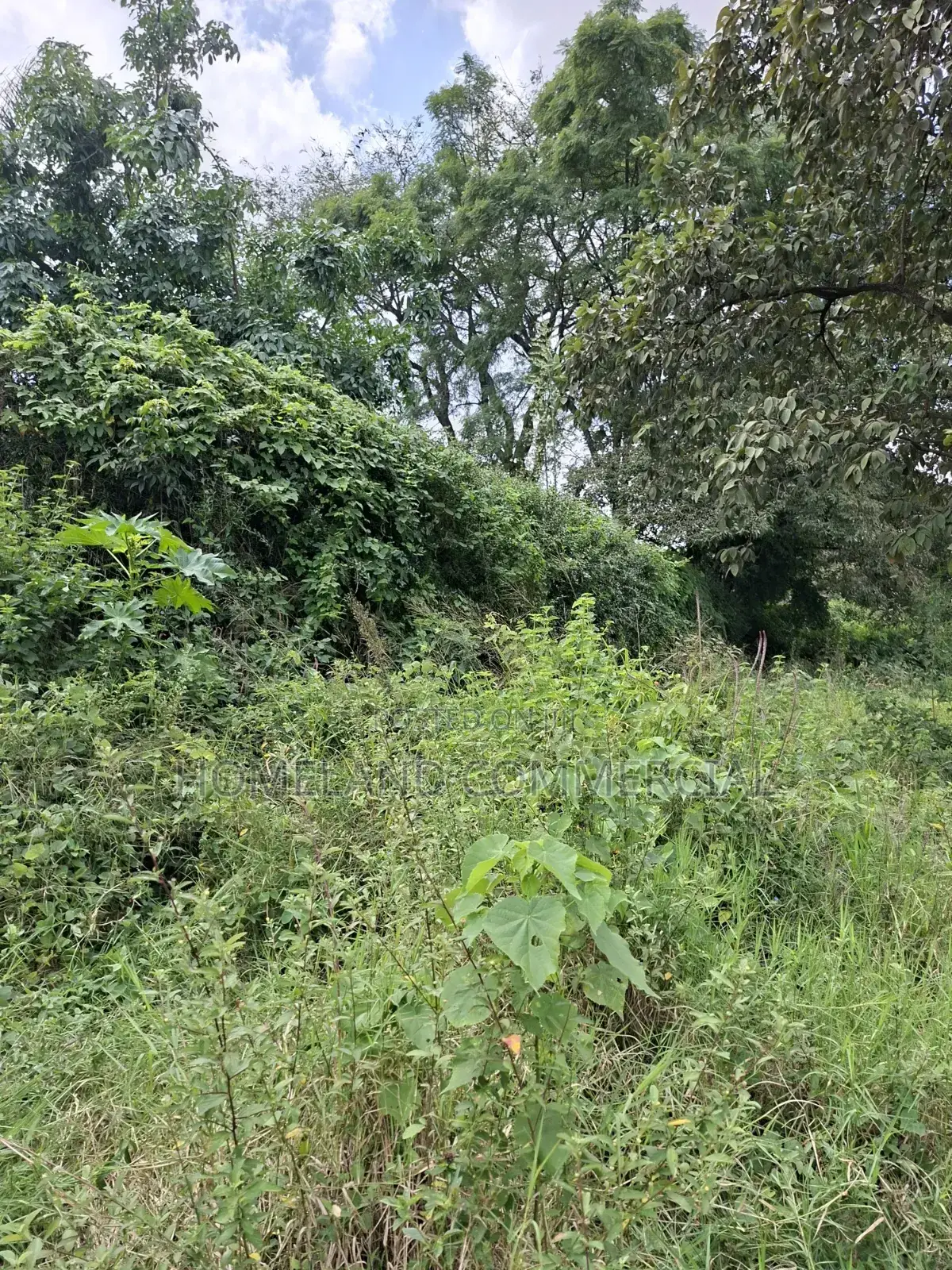 1 Acre Land for Sale in Langata