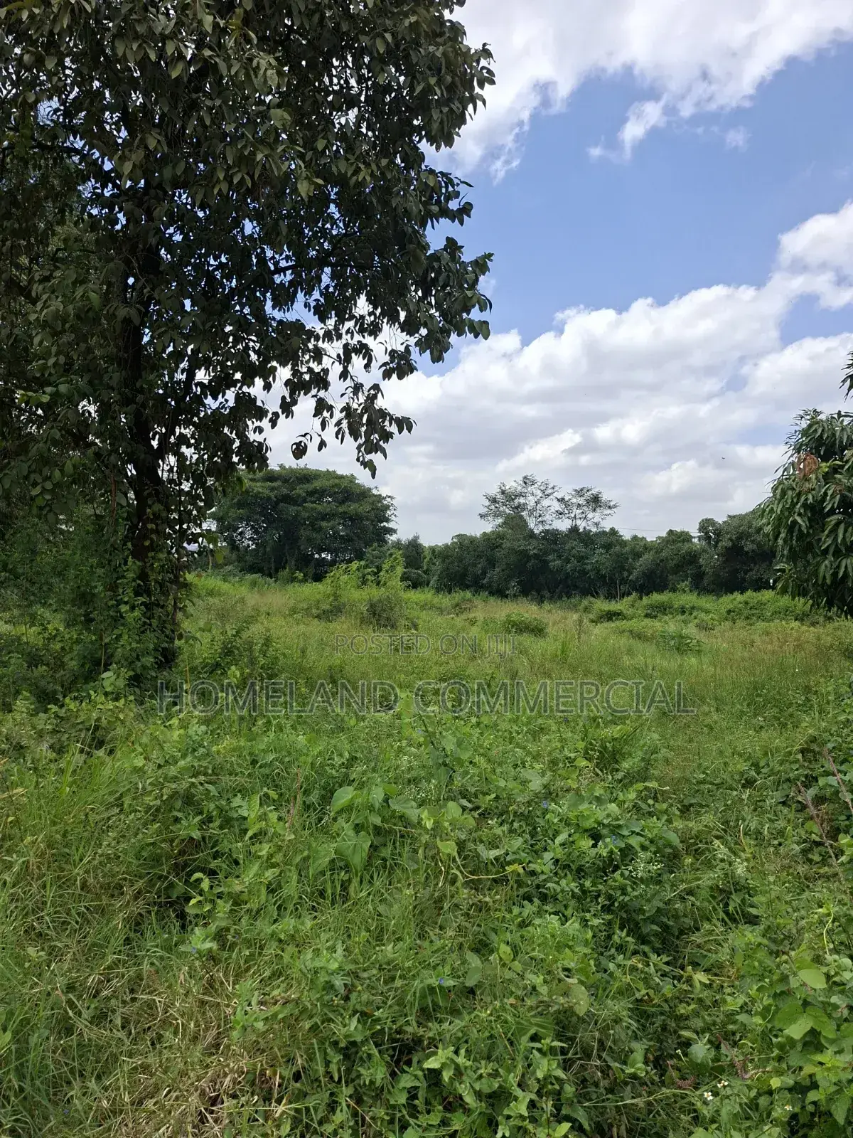 1 Acre Land for Sale in Langata