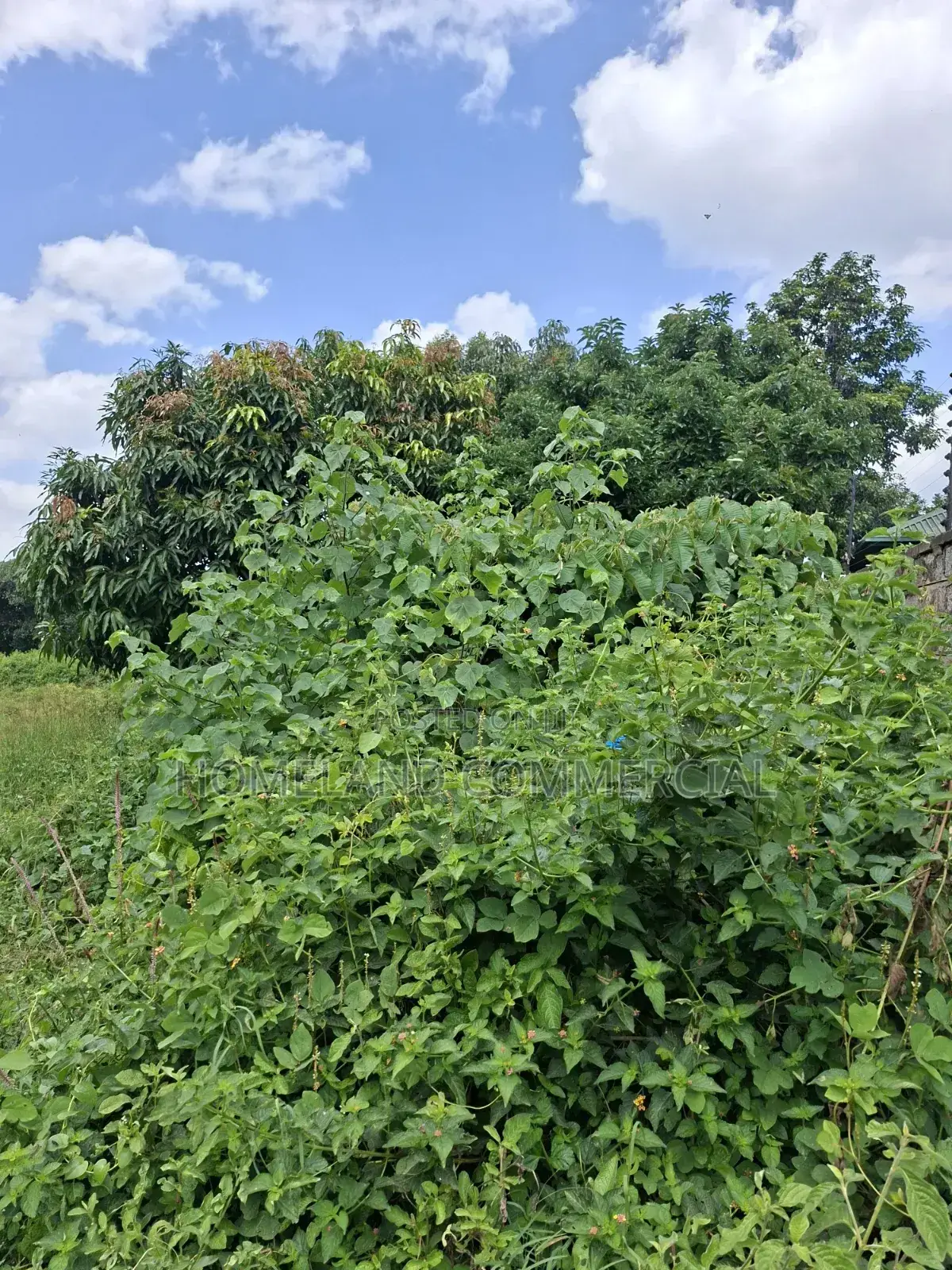 1 Acre Land for Sale in Langata