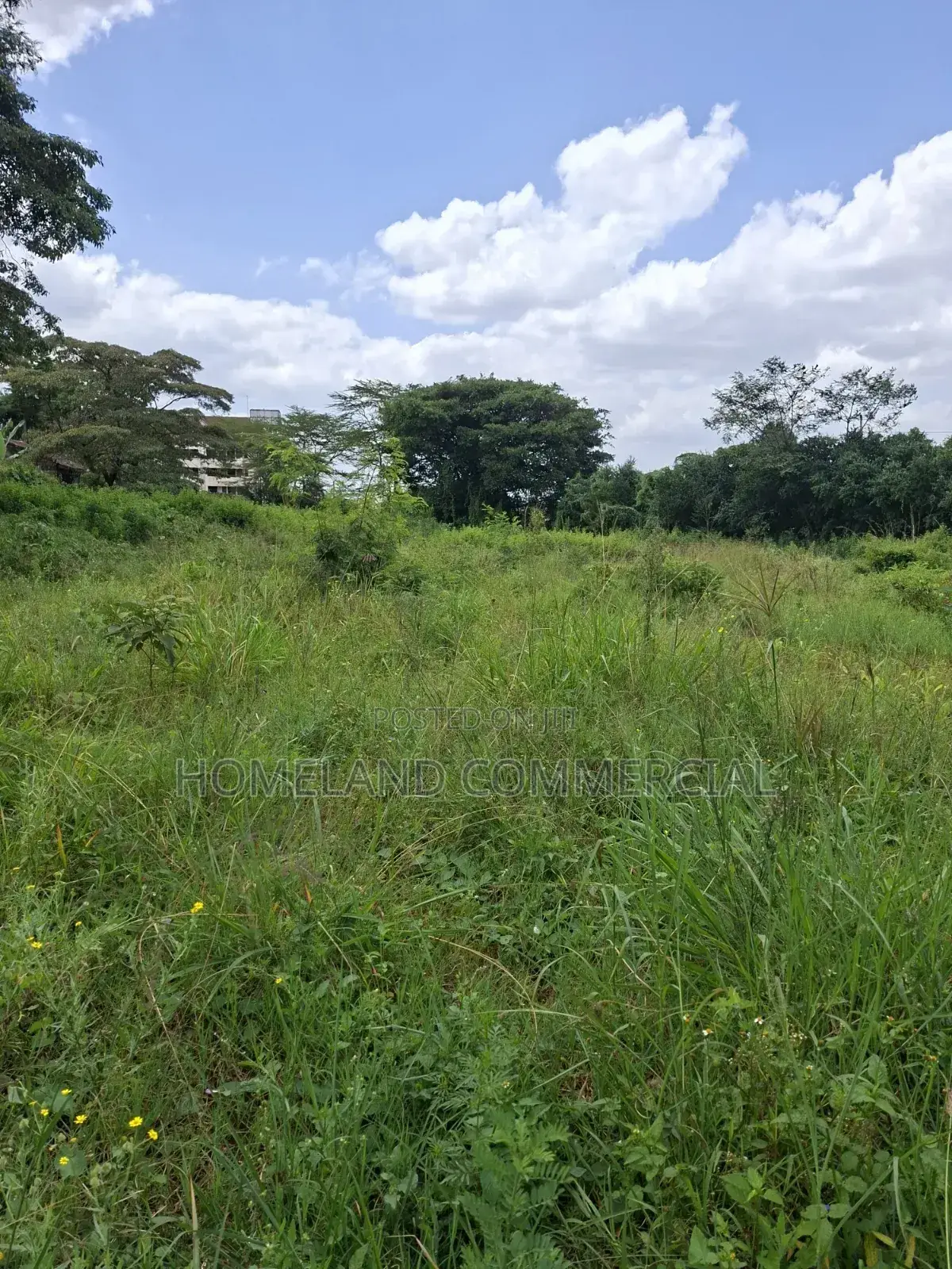 1 Acre Land for Sale in Langata