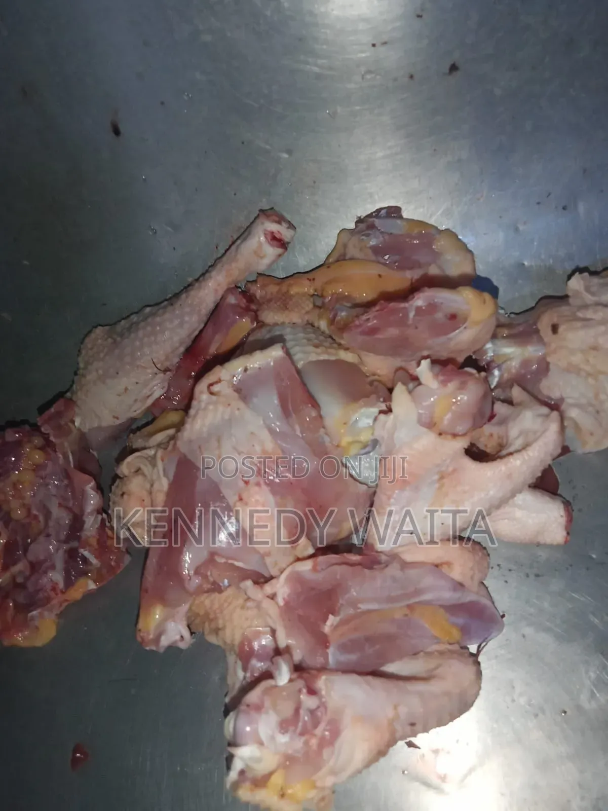 Live and Slaughtered Chicken
